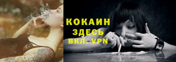 стафф Аркадак