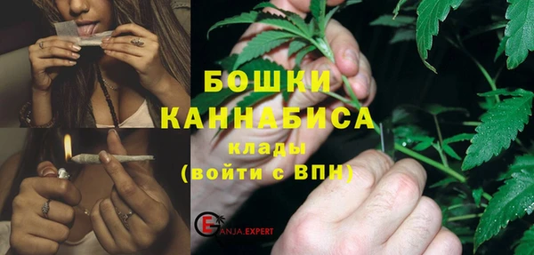 стафф Аркадак