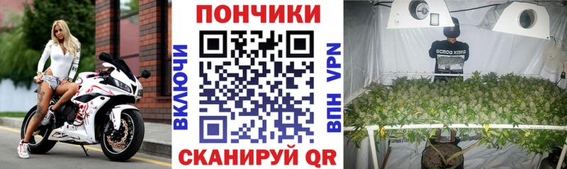 нарко площадка какой сайт  Руза  Шишки марихуана планчик 